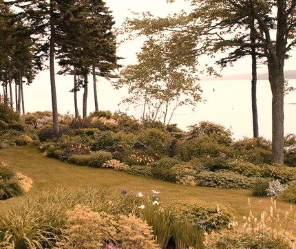 Coastal Garden Design